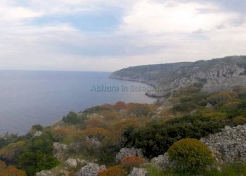 Terreno agricolo strada Comunale Serra, Gagliano del Capo - foto 5
