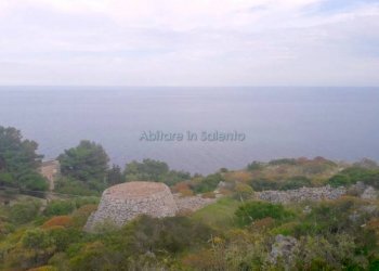Terreno agricolo strada Comunale Serra, Gagliano del Capo - foto 6