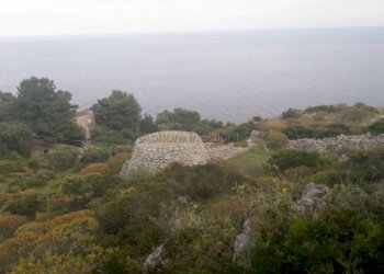Terreno agricolo strada Comunale Serra, Gagliano del Capo - foto 7