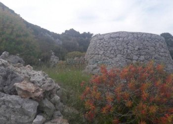 Terreno agricolo strada Comunale Serra, Gagliano del Capo - foto 8