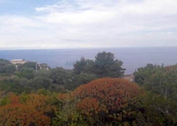 Terreno agricolo strada Comunale Serra, Gagliano del Capo - foto 10