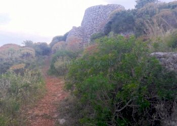 Terreno agricolo strada Comunale Serra, Gagliano del Capo - foto 11