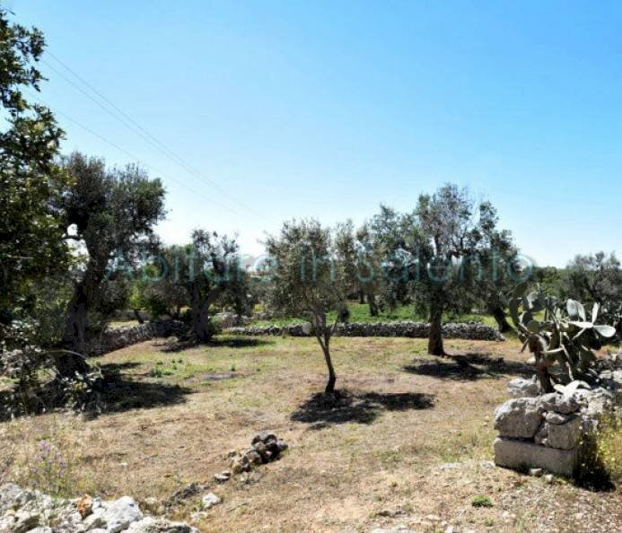 Agricultural land strada Provinciale Castrigano del Capo Marina di Leuca, Castrignano del Capo - photo 2