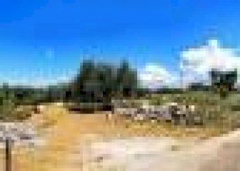 Terreno agricolo strada Provinciale Castrigano del Capo Marina di Leuca, Castrignano del Capo - foto 1