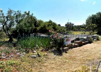 Terreno agricolo strada Provinciale Castrigano del Capo Marina di Leuca, Castrignano del Capo - foto 4