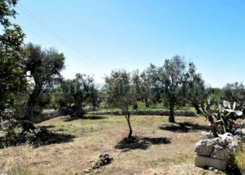 Terreno agricolo strada Provinciale Castrigano del Capo Marina di Leuca, Castrignano del Capo - foto 2
