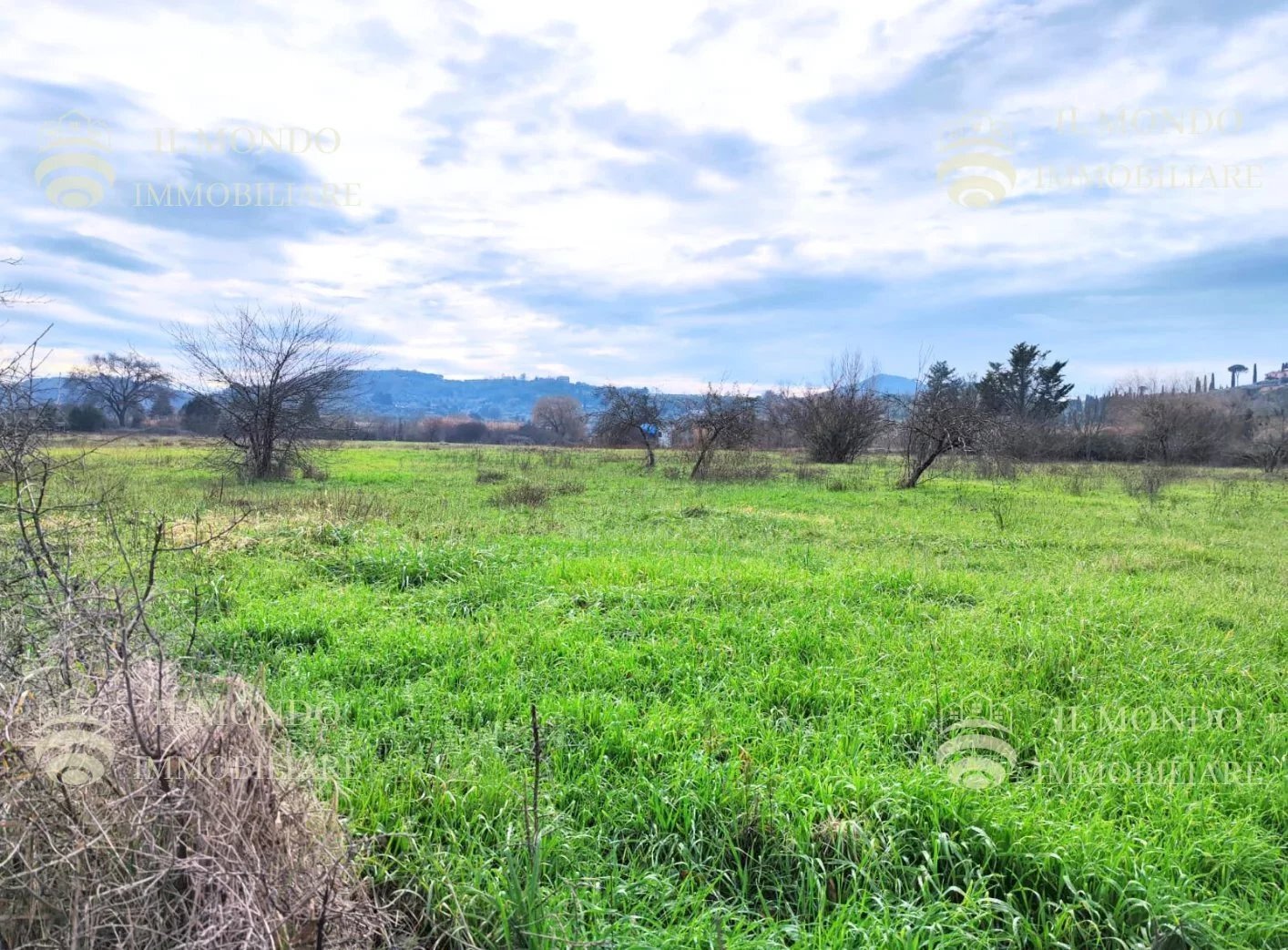 Terreno agricolo Località Albanetta, snc., Palombara Sabina - foto 1