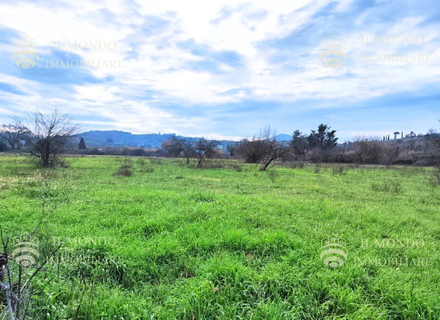 Terreno agricolo Località Albanetta, snc., Palombara Sabina - foto 2