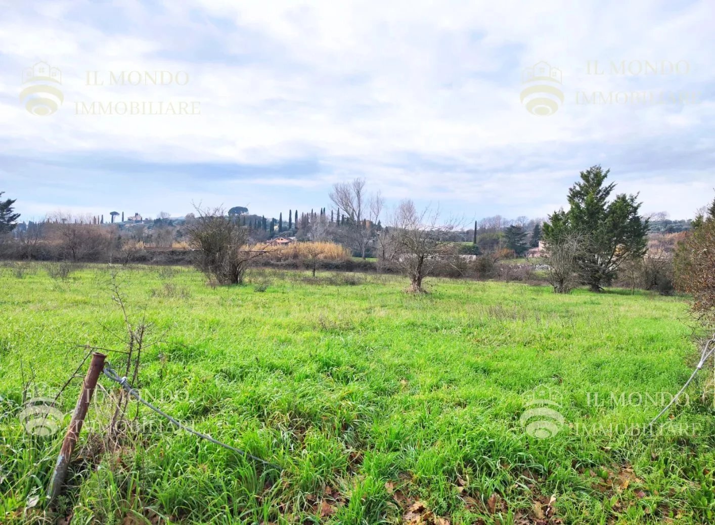 Terreno agricolo Località Albanetta, snc., Palombara Sabina - foto 3