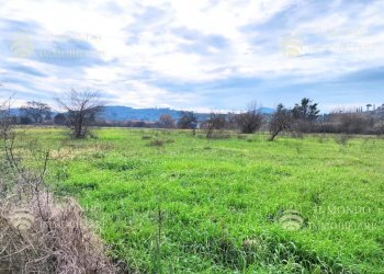 Terreno agricolo Località Albanetta, snc., Palombara Sabina - foto 1
