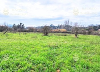 Terreno agricolo Località Albanetta, snc., Palombara Sabina - foto 4
