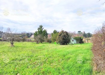 Terreno agricolo Località Albanetta, snc., Palombara Sabina - foto 5