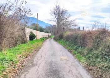 Terreno agricolo Località Albanetta, snc., Palombara Sabina - foto 8