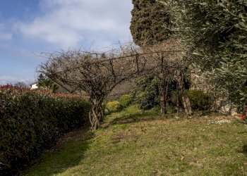 Villa Strada Castelvecchio, Moncalieri - foto 15