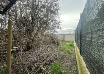 Rustic Carmagnola - photo 11