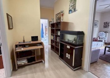 Trilocale Venaria Reale - foto 7