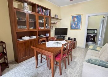 Trilocale Venaria Reale - foto 14