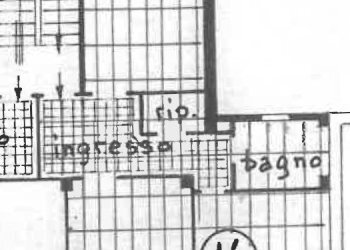 Trilocale Venaria Reale - foto 17