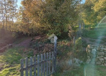 Rustic Frazione san francesco, Bioglio - photo 12