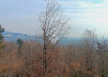 Rustic Frazione san francesco, Bioglio - photo 17