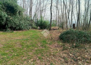 Rustic Frazione san francesco, Bioglio - photo 28
