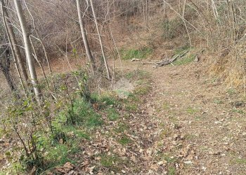 Rustic Frazione san francesco, Bioglio - photo 29