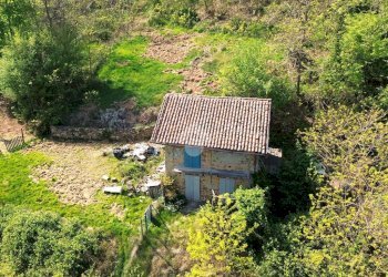 Rustic Frazione san francesco, Bioglio - photo 4