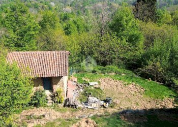 Rustic Frazione san francesco, Bioglio - photo 7