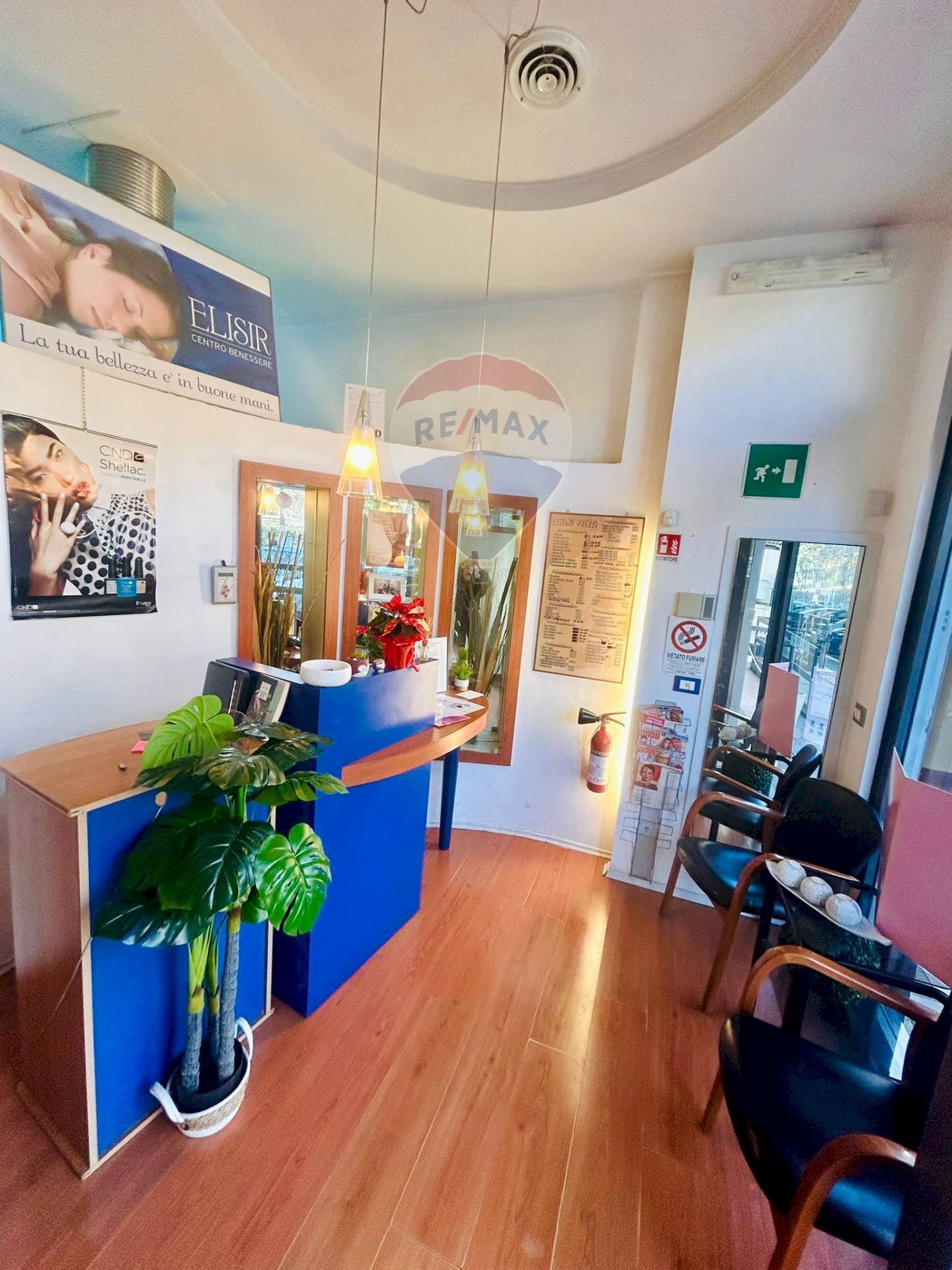 Commercial Activity Roma (neighborhood Nuovo Salario) - photo 1