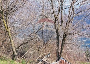 Terreno edificabile Bianzano - foto 15