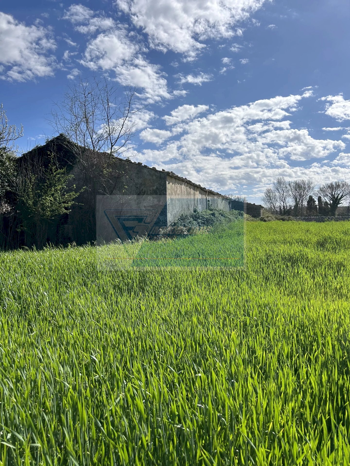 Agricultural land Noto - photo 2