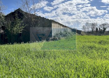 Terreno agricolo Noto - foto 2