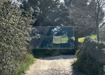 Terreno agricolo Noto - foto 5