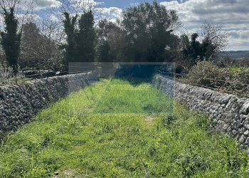 Terreno agricolo Noto - foto 7