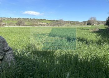 Terreno agricolo Noto - foto 8