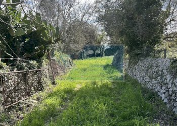 Terreno agricolo Noto - foto 9