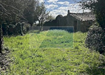 Terreno agricolo Noto - foto 10