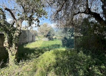 Terreno agricolo Noto - foto 13