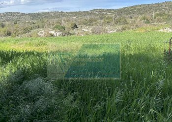 Terreno agricolo Noto - foto 14