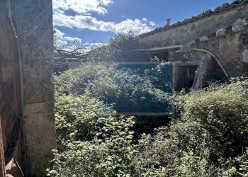 Terreno agricolo Noto - foto 15