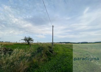 Cascina Località Vo, San Salvatore Monferrato - foto 3