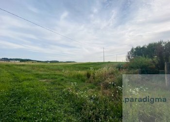 Cascina Località Vo, San Salvatore Monferrato - foto 4