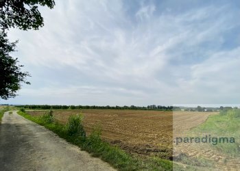 Cascina strada bellona, Valenza, Valenza - foto 5