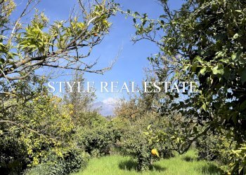 Hotel - Accommodation facility via aldo moro, Viagrande - photo 20