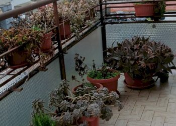 Apartment Modena - photo 5