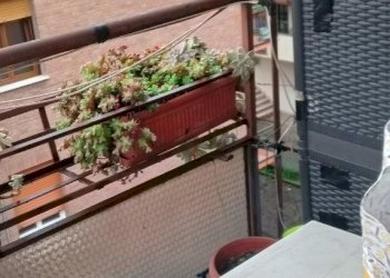 Apartment Modena - photo 6