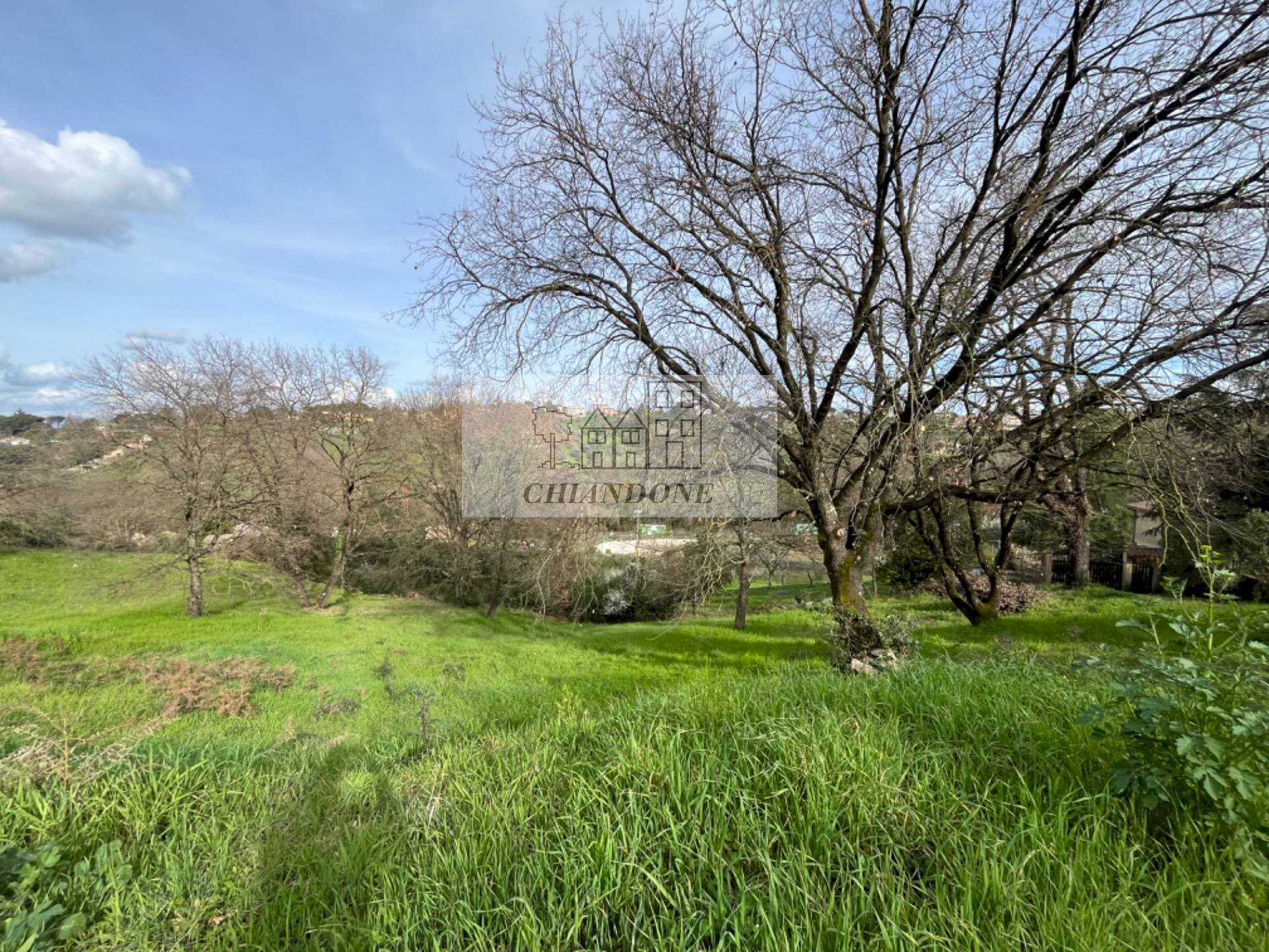 Terreno edificabile Morlupo - foto 1