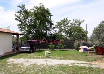 Rustic Scarlino - photo 2