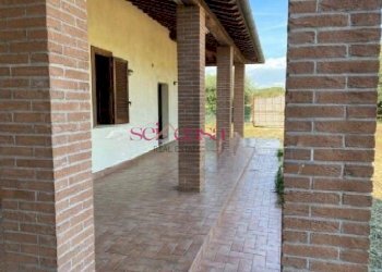 Rustic Scarlino - photo 3