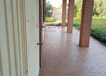 Rustic Scarlino - photo 4